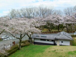 2023年3月24日