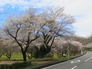 2023年3月24日