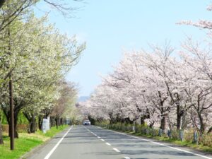 2023年3月29日