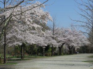 2023年3月29日