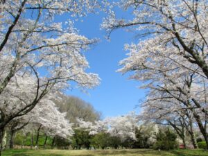 2023年3月29日