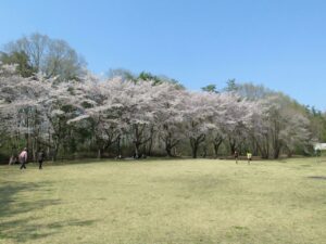 2023年4月1日