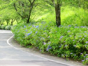 2023年6月21日