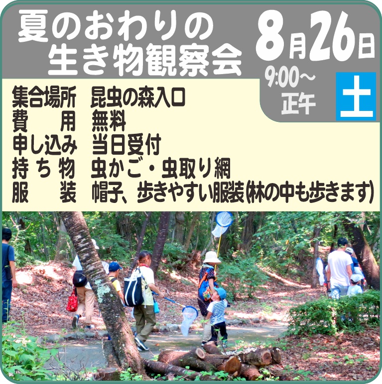 夏の終わりの生きもの観察会