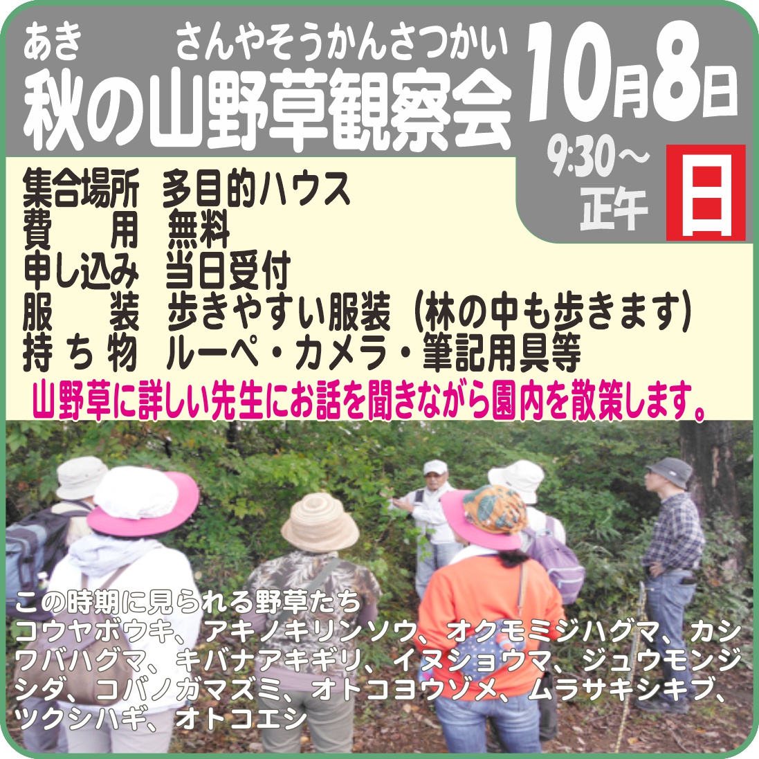 秋の山野草観察会