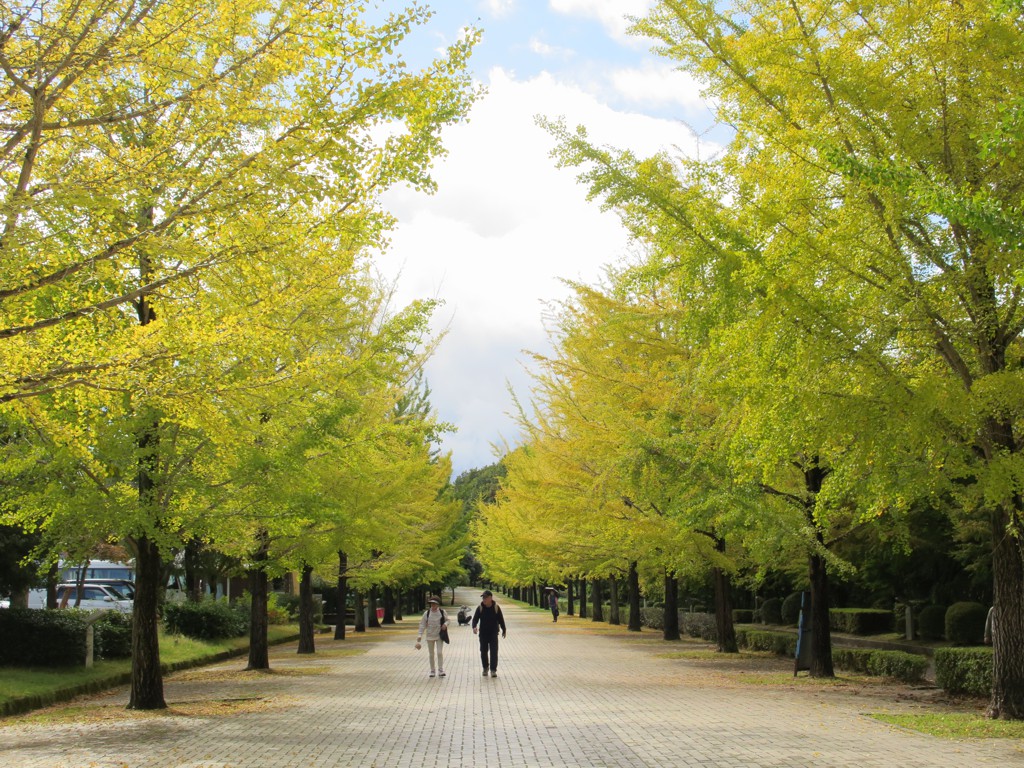 2023年10月10日