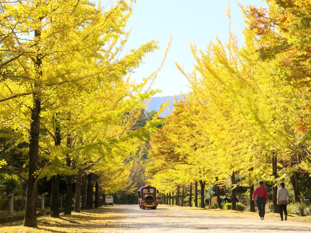 2023年10月23日