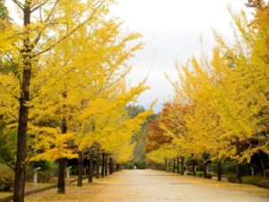 2023年10月31日