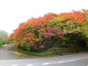 2023年11月6日