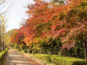 2023年11月9日