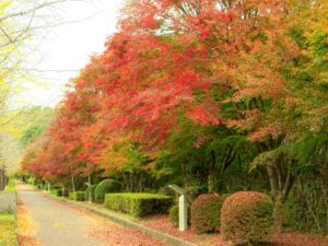 2023年11月12日