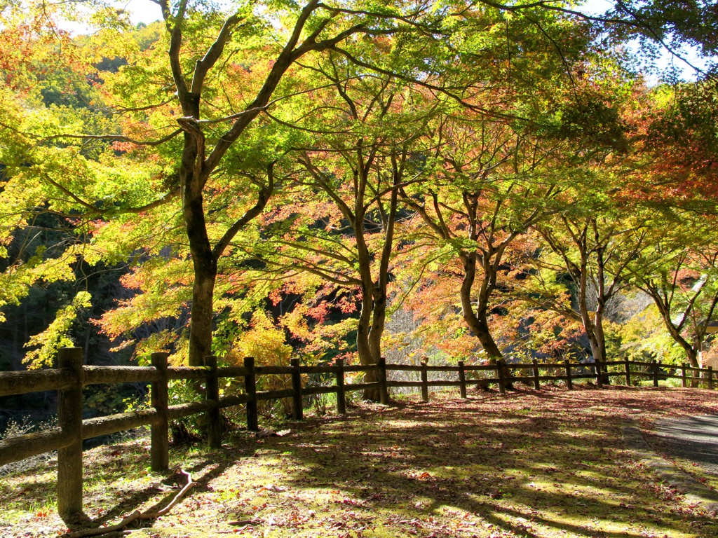 2023年11月14日