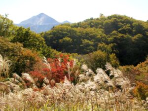 2023年11月14日