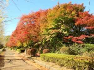 2023年11月14日