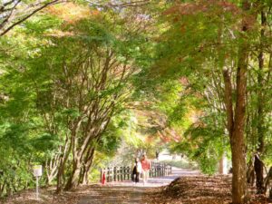 2023年11月19日 芝生広場