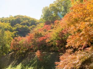 2023年11月19日 せせらぎ広場