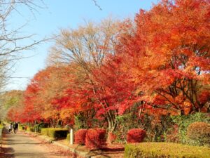 2023年11月27日