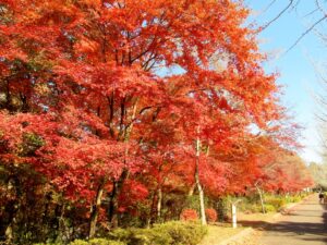 2023年11月27日