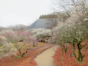 2024年2月22日