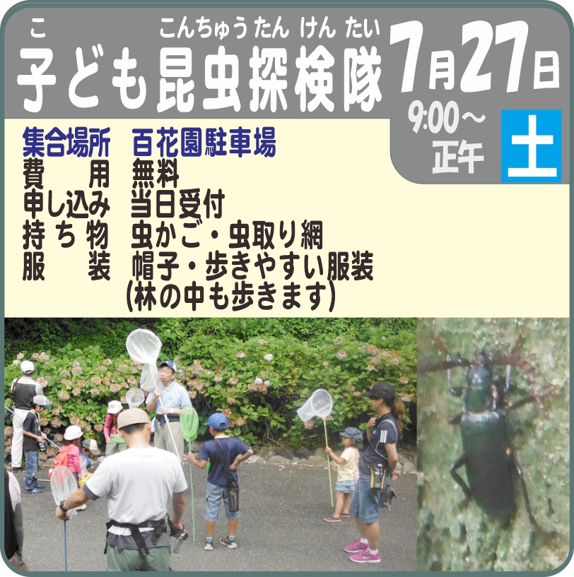 こども昆虫探検隊