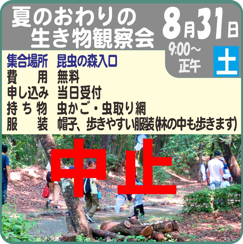 夏の終わりの生きもの観察会