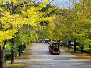 2024年10月21日　芝生広場前