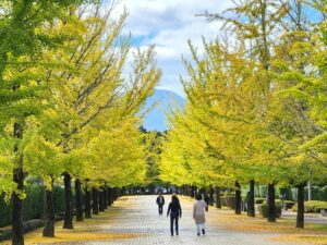 2024年10月21日 ステンドハウス前