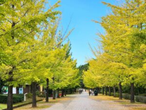 2024年10月21日　パルテノン前