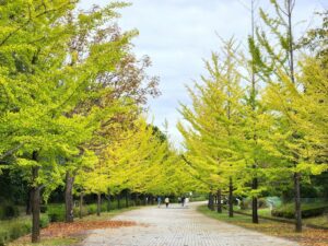 2024年10月21日　キャンプ場前