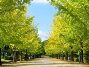 2024年10月15日