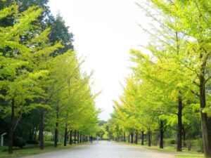 2024年10月15日