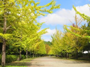 2024年10月15日