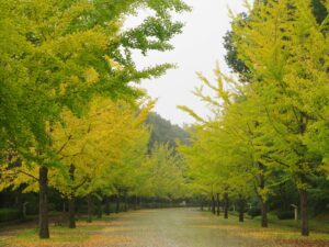 2024年10月18日