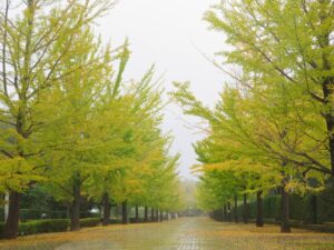 2024年10月18日