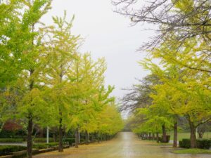 2024年10月18日