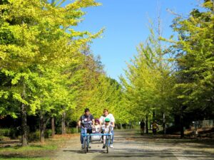 2024年10月20日