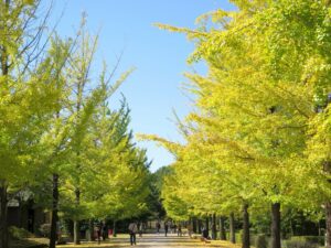 2024年10月20日