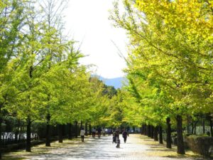 2024年10月20日