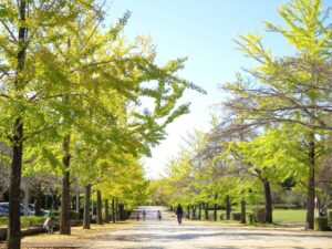 2024年10月20日