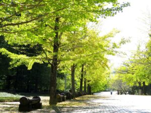 2024年10月20日