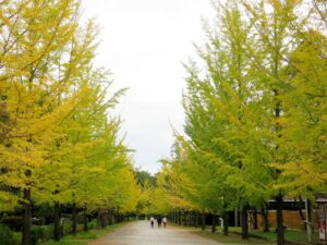 2024年10月24日