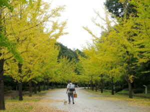 2024年10月24日