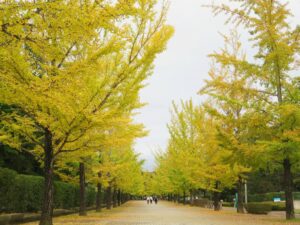 2024年10月24日