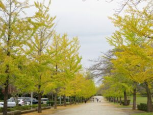 2024年10月24日