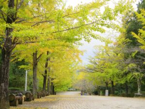 2024年10月24日