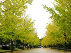 2024年10月26日
