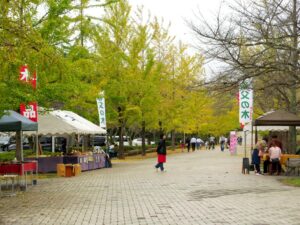 2024年10月26日