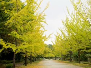 2024年10月26日