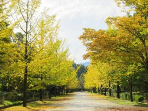 2024年10月31日