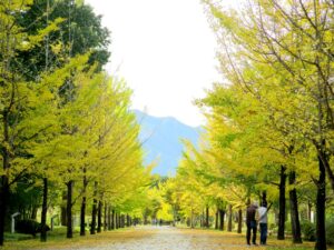 2024年10月31日